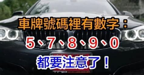 好車牌號碼|好運車牌號碼選購指南：解讀車牌數字的吉利寓意 